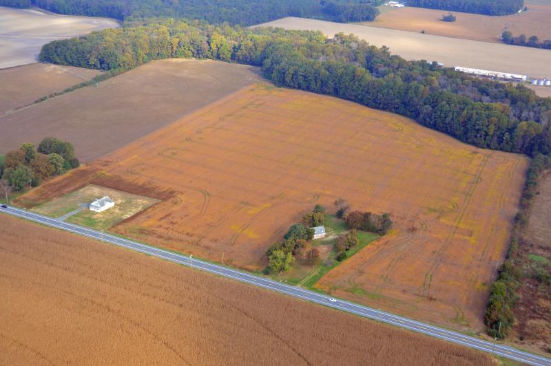 The land trust has plans to provide recreational access to the Ickford property near Seaford. SUBMITTED PHOTO